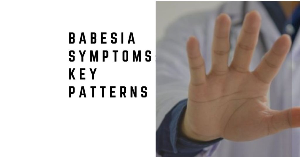 Babesia Symptoms: Key Patterns