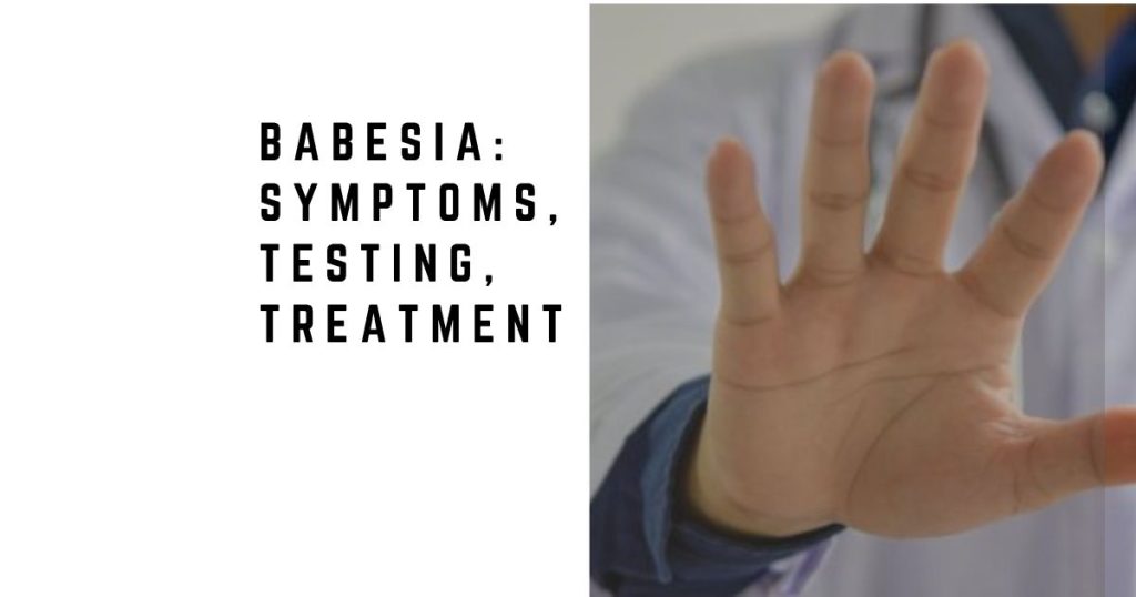 Babesia: Symptoms, Testing, Treatment, and Co-Infection
