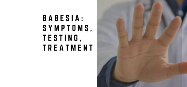Babesia: Symptoms, Testing, Treatment, and Co-Infection
