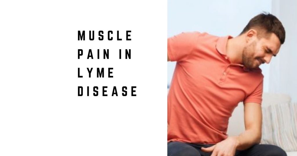 Muscle Pain in Lyme Disease