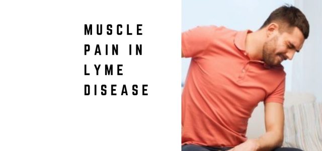 Muscle Pain in Lyme Disease