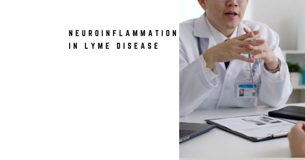 Neuroinflammation in Lyme Disease