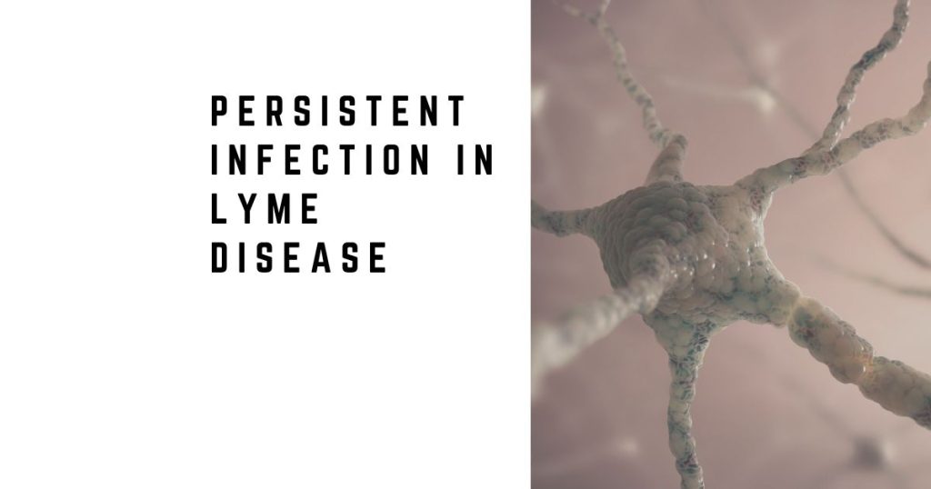 Persistent Infection in Lyme Disease