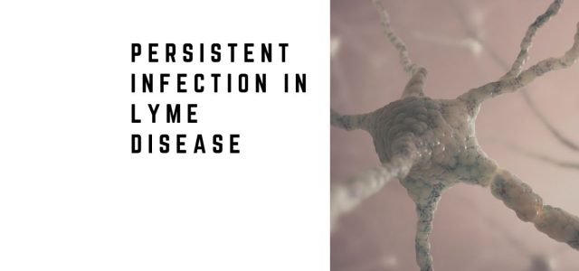Persistent Infection in Lyme Disease