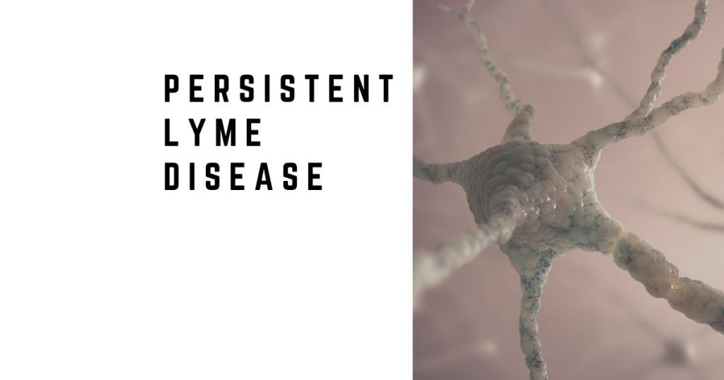 ersistent Lyme Disease: Why Symptoms Continue After Treatment