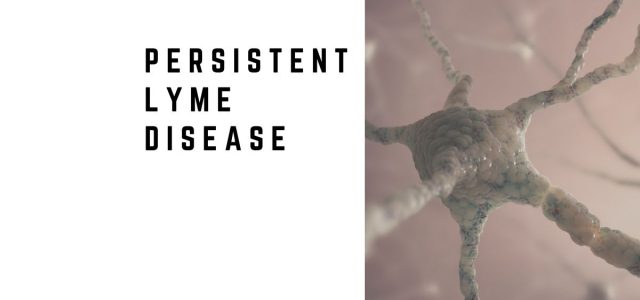ersistent Lyme Disease: Why Symptoms Continue After Treatment