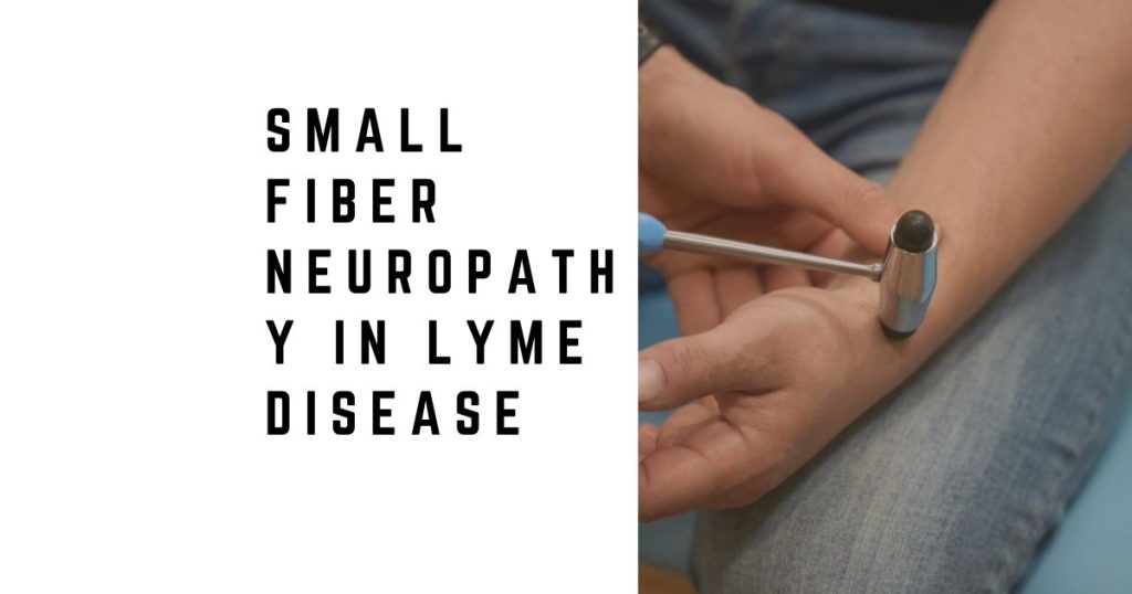 Small Fiber Neuropathy in Lyme Disease