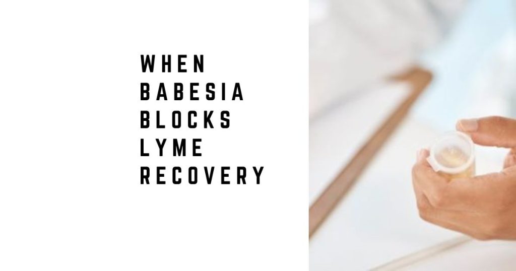 When Babesia Blocks Lyme Recovery