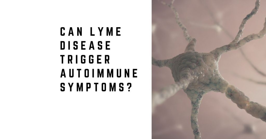 Can Lyme Disease Trigger Autoimmune Symptoms?
