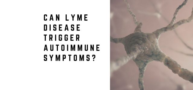 Can Lyme Disease Trigger Autoimmune Symptoms?