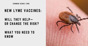 NEW LYME VACCINES