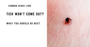 TICK WON’T COME OUT