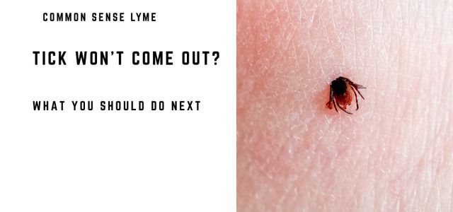 TICK WON’T COME OUT