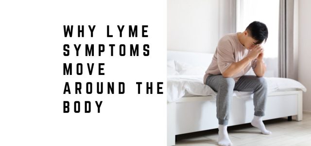 Why Lyme Symptoms Move Around the Body