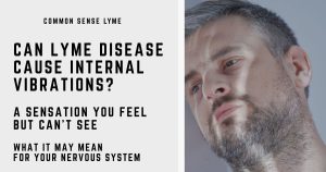 CAN LYME DISEASE CAUSE INTERNAL VIBRATIONS (1)