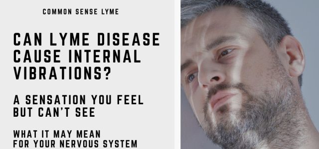 CAN LYME DISEASE CAUSE INTERNAL VIBRATIONS (1)
