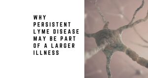 Why Persistent Lyme Disease May Be Part of a Larger Illness