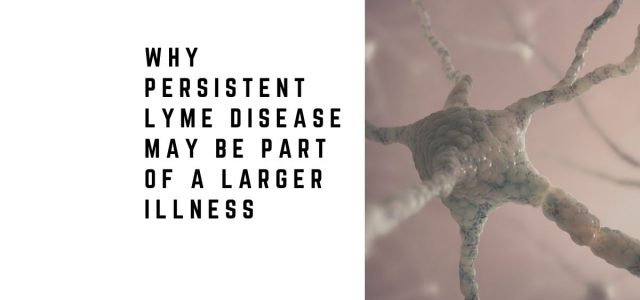 Why Persistent Lyme Disease May Be Part of a Larger Illness
