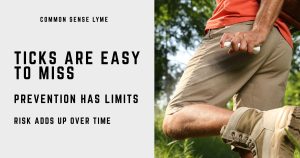 Ticks are easy to miss