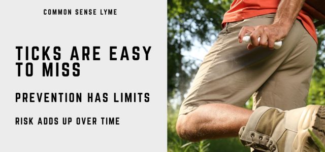 Ticks are easy to miss