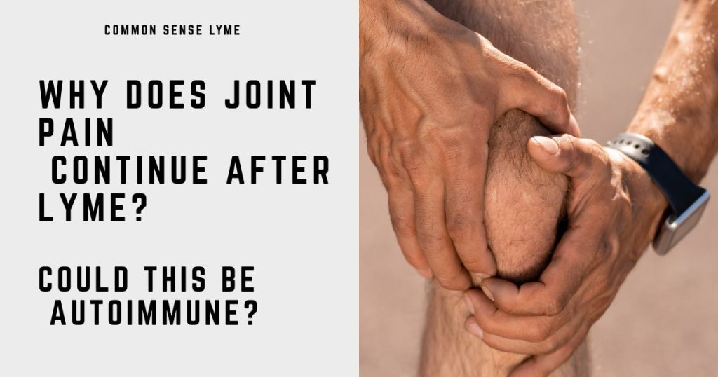 WHY DOES JOINT PAIN CONTINUE AFTER LYME