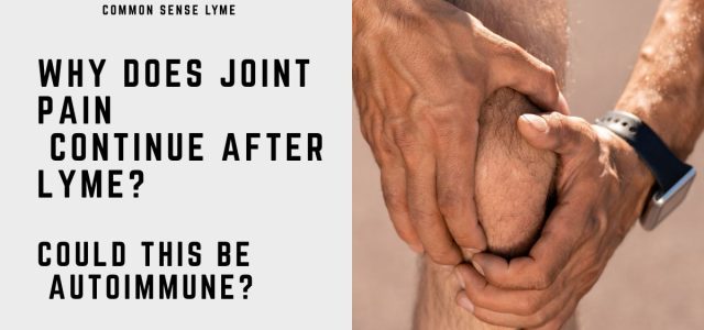 WHY DOES JOINT PAIN CONTINUE AFTER LYME